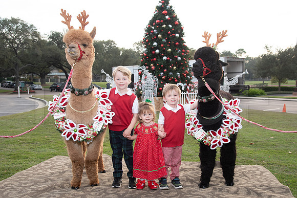 HCC_2022_SANTA_PARTY_ACTIVITIES_069