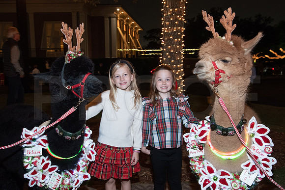 HCC_2022_SANTA_PARTY_ACTIVITIES_265