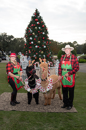 HCC_2022_SANTA_PARTY_ACTIVITIES_039