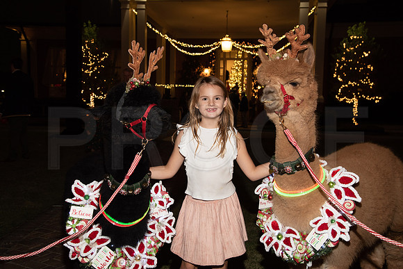 HCC_2022_SANTA_PARTY_ACTIVITIES_242