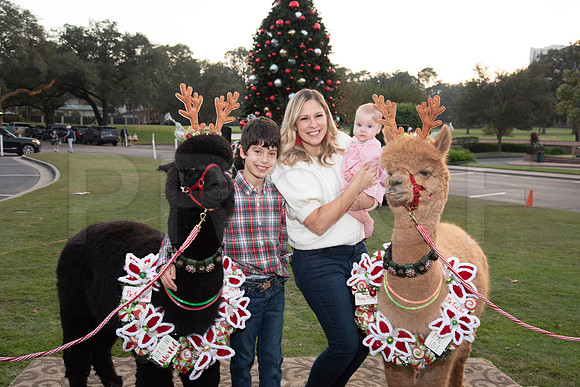 HCC_2022_SANTA_PARTY_ACTIVITIES_181