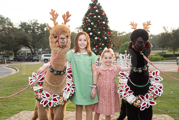 HCC_2022_SANTA_PARTY_ACTIVITIES_065