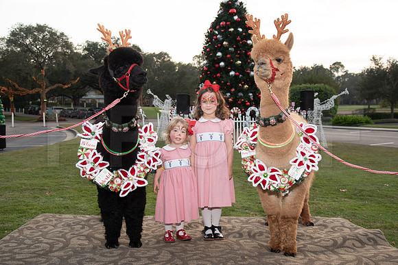 HCC_2022_SANTA_PARTY_ACTIVITIES_192