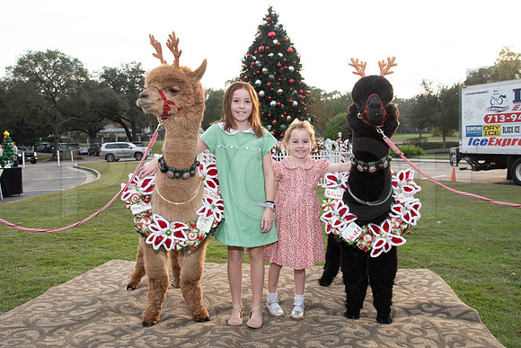 HCC_2022_SANTA_PARTY_ACTIVITIES_064