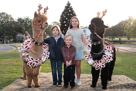 HCC_2022_SANTA_PARTY_ACTIVITIES_082