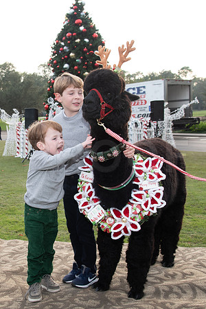 HCC_2022_SANTA_PARTY_ACTIVITIES_078