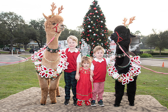 HCC_2022_SANTA_PARTY_ACTIVITIES_071