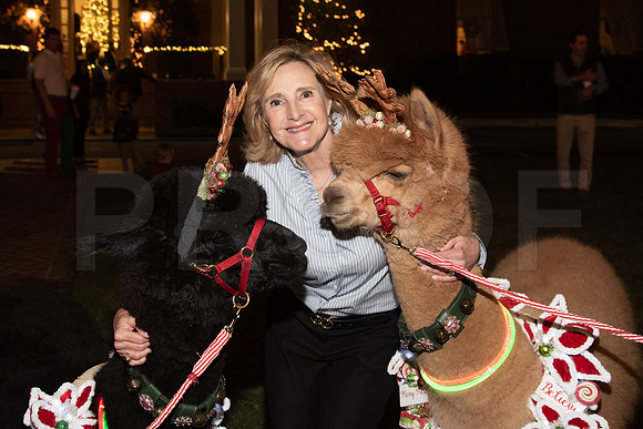 HCC_2022_SANTA_PARTY_ACTIVITIES_245