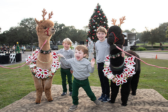HCC_2022_SANTA_PARTY_ACTIVITIES_080