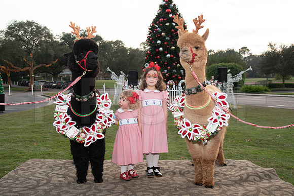 HCC_2022_SANTA_PARTY_ACTIVITIES_191