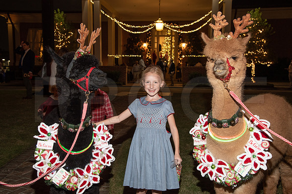 HCC_2022_SANTA_PARTY_ACTIVITIES_241