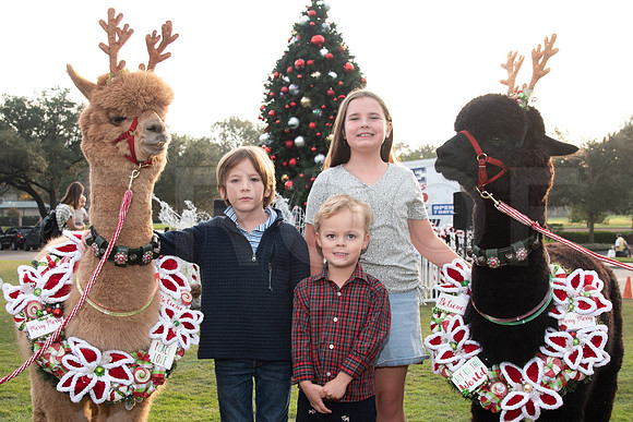 HCC_2022_SANTA_PARTY_ACTIVITIES_081
