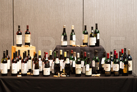COVENANT_HOUSE_2019_GALA_014