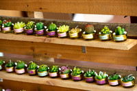 GLEAVES_PETTY_WEDDING_0012