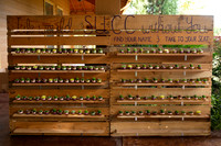 GLEAVES_PETTY_WEDDING_0002