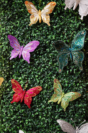 LEAPING_BUTTERFLY_MINISTRY_2019_GALA_001