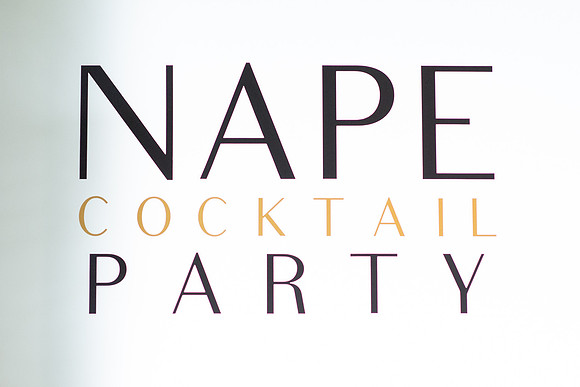 V&E_NAPE_2019_001