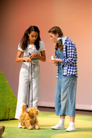 SFEDS_2019_WIZARD_OF_OZ_0006
