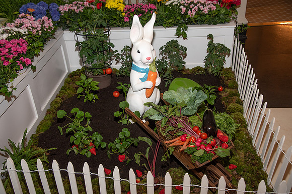 HCC_EASTER_EGG_HUNT_2019_004