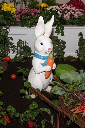 HCC_EASTER_EGG_HUNT_2019_005