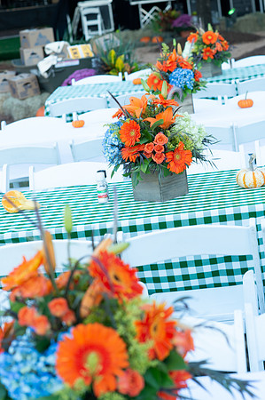 HCC_BIRDSHOOTERS_BALL_2018_008