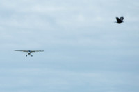 MOSING_FISH_FRY_FLY-IN_002