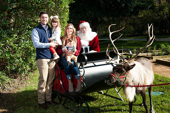 V&E_FAMILY_HOLIDAY_PARTY_2017_765
