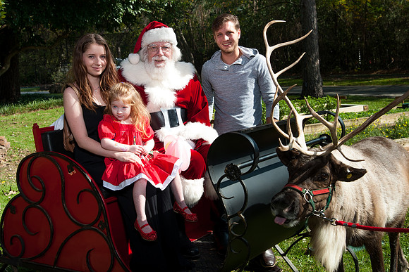 V&E_FAMILY_HOLIDAY_PARTY_2017_881