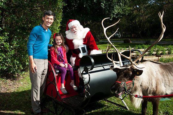 V&E_FAMILY_HOLIDAY_PARTY_2017_872