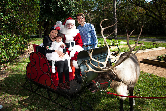 V&E_FAMILY_HOLIDAY_PARTY_2017_910
