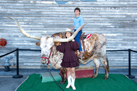 VE_2025_ARMADILLO_PALACE_015